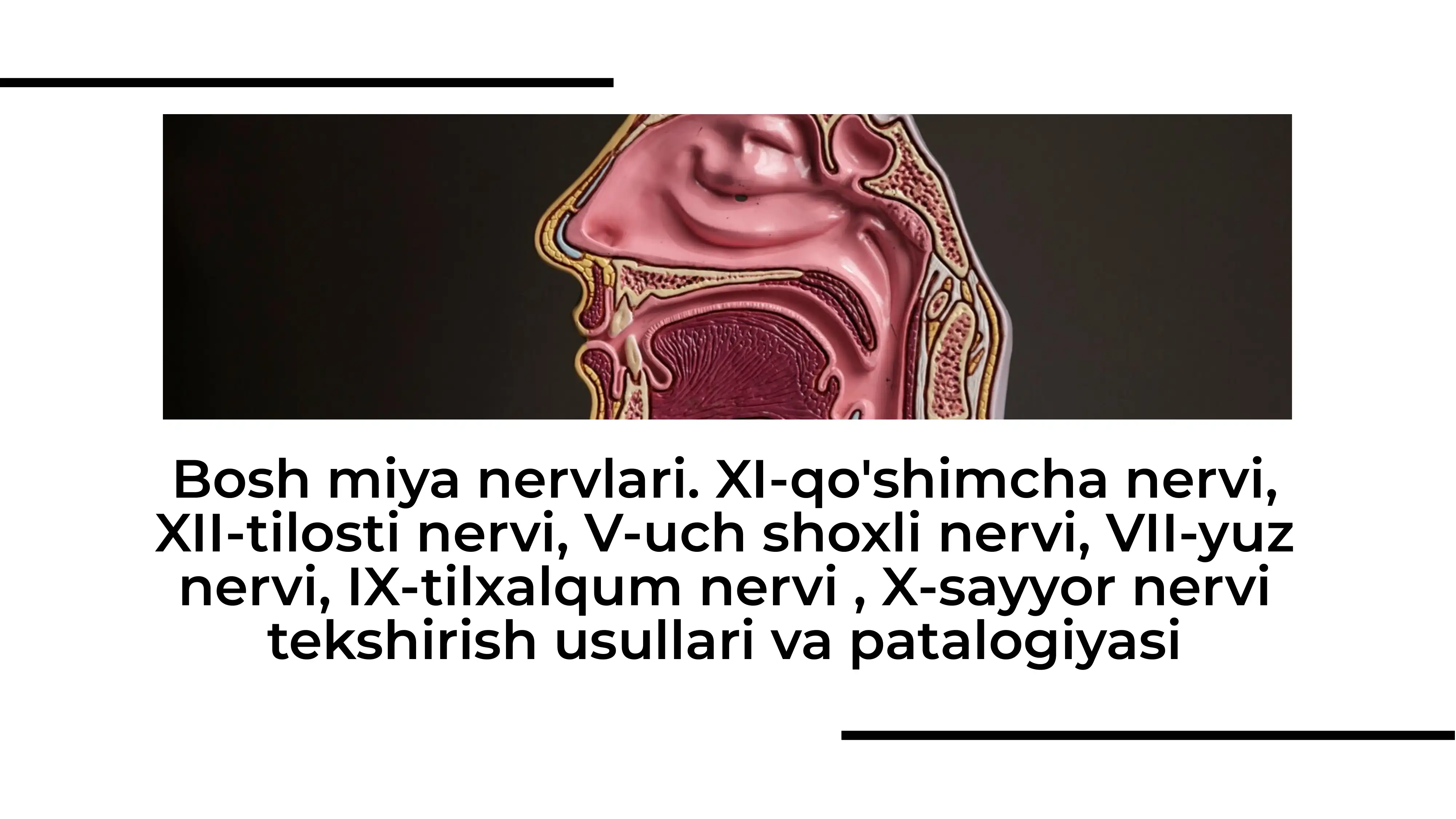 Bosh miya nervlari. XI-qo'shimcha nervi, XIi-tilosti nervi, V-uch shoxli nervi, VII-yuz nervi, IX-tilxalqum nervi , X-sayyor nervi tekshirish usullari va patalogiyasi