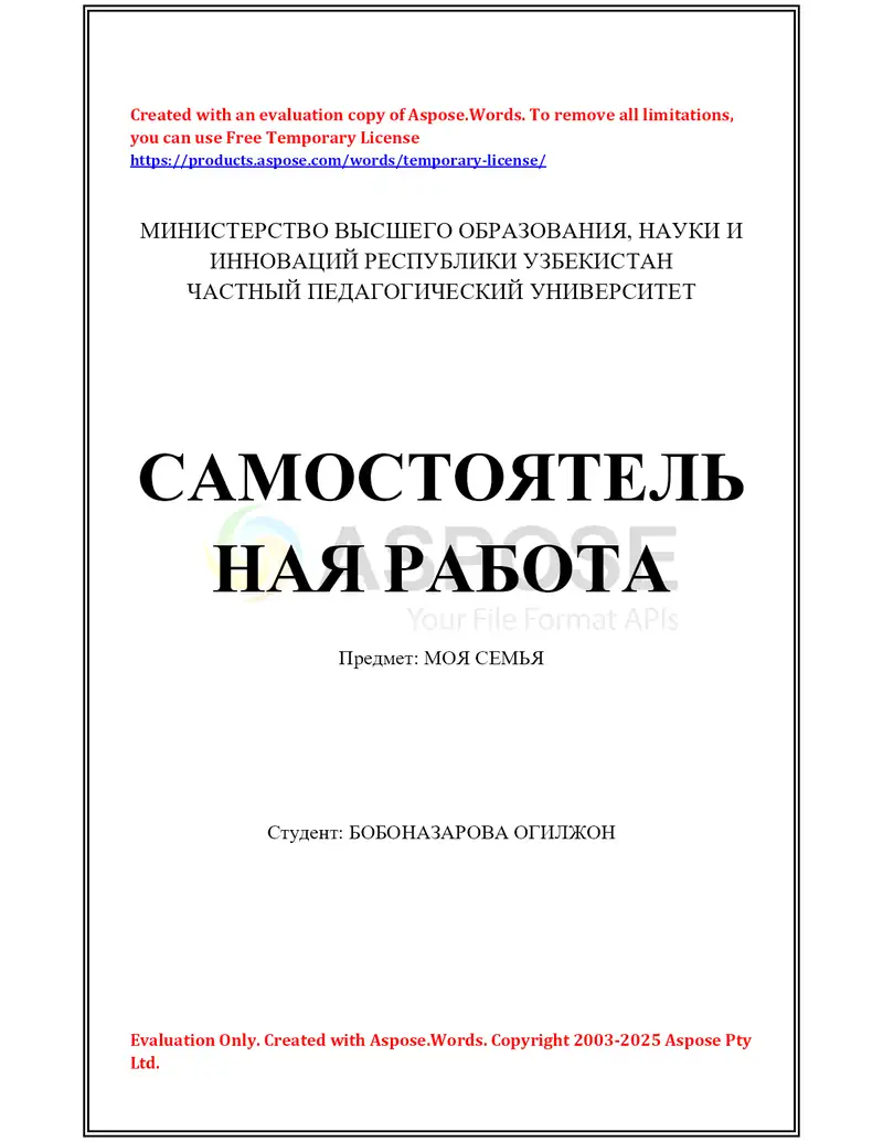 Самостоятельная работа «Моя семья»