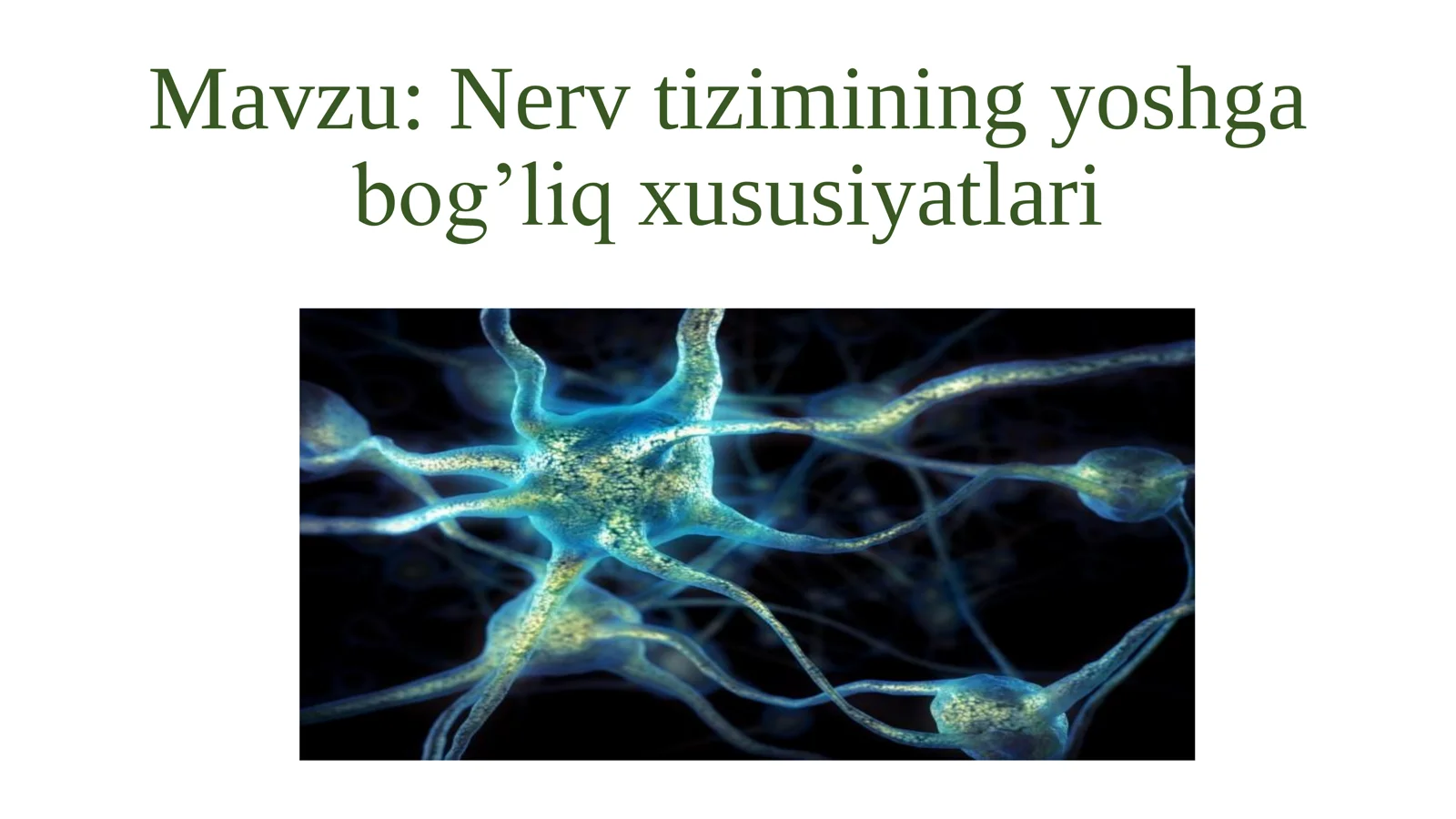 Nerv tizimining yoshga bog’liq xususiyatlari