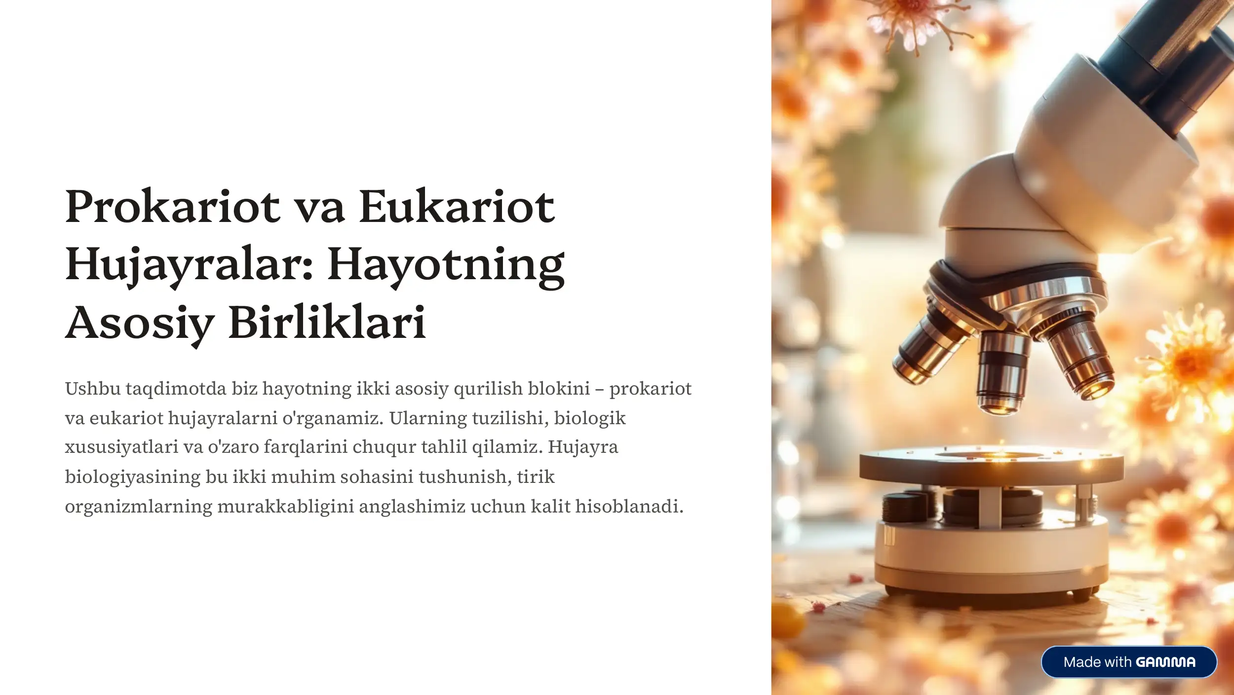 Prokariot va Eukariot
