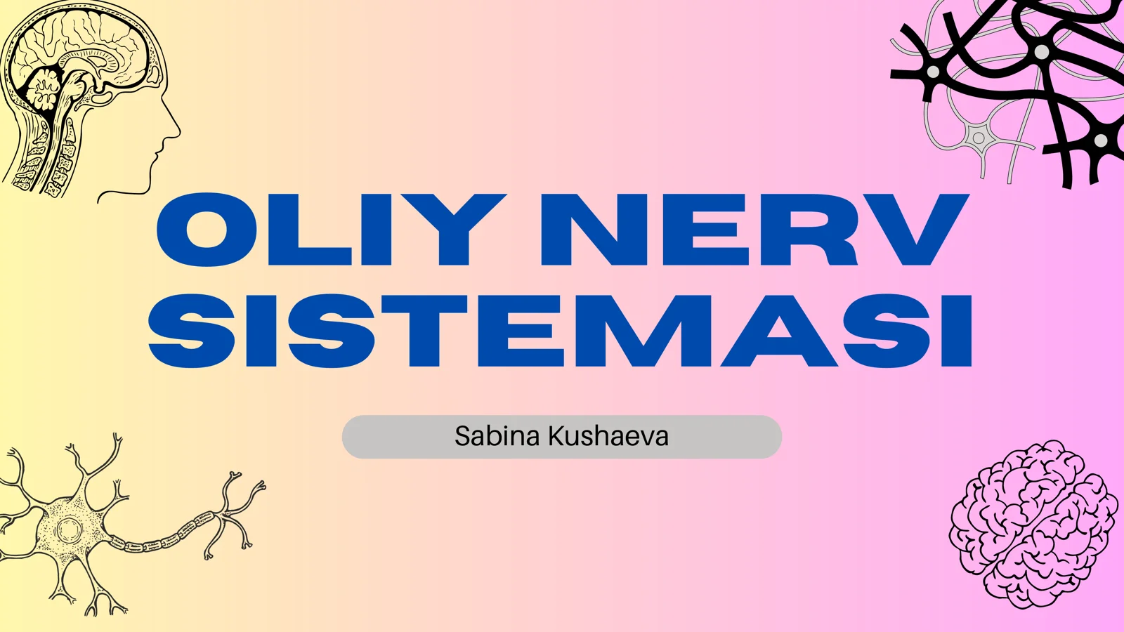 Oliy Nerv Sistemasi