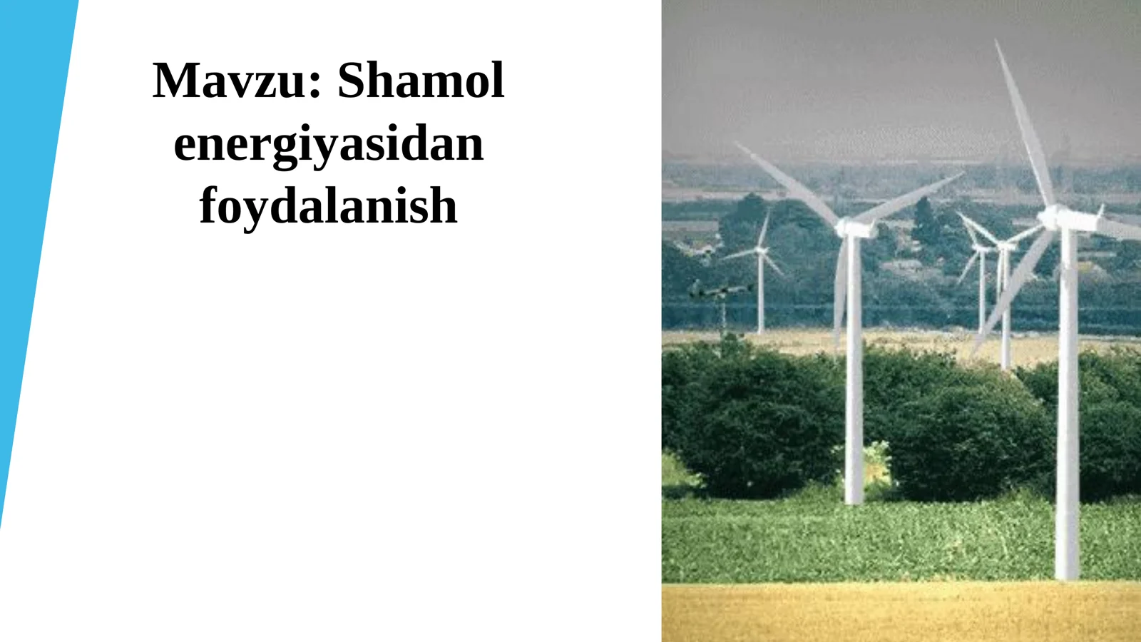 Shamol energiyasidan foydalanish