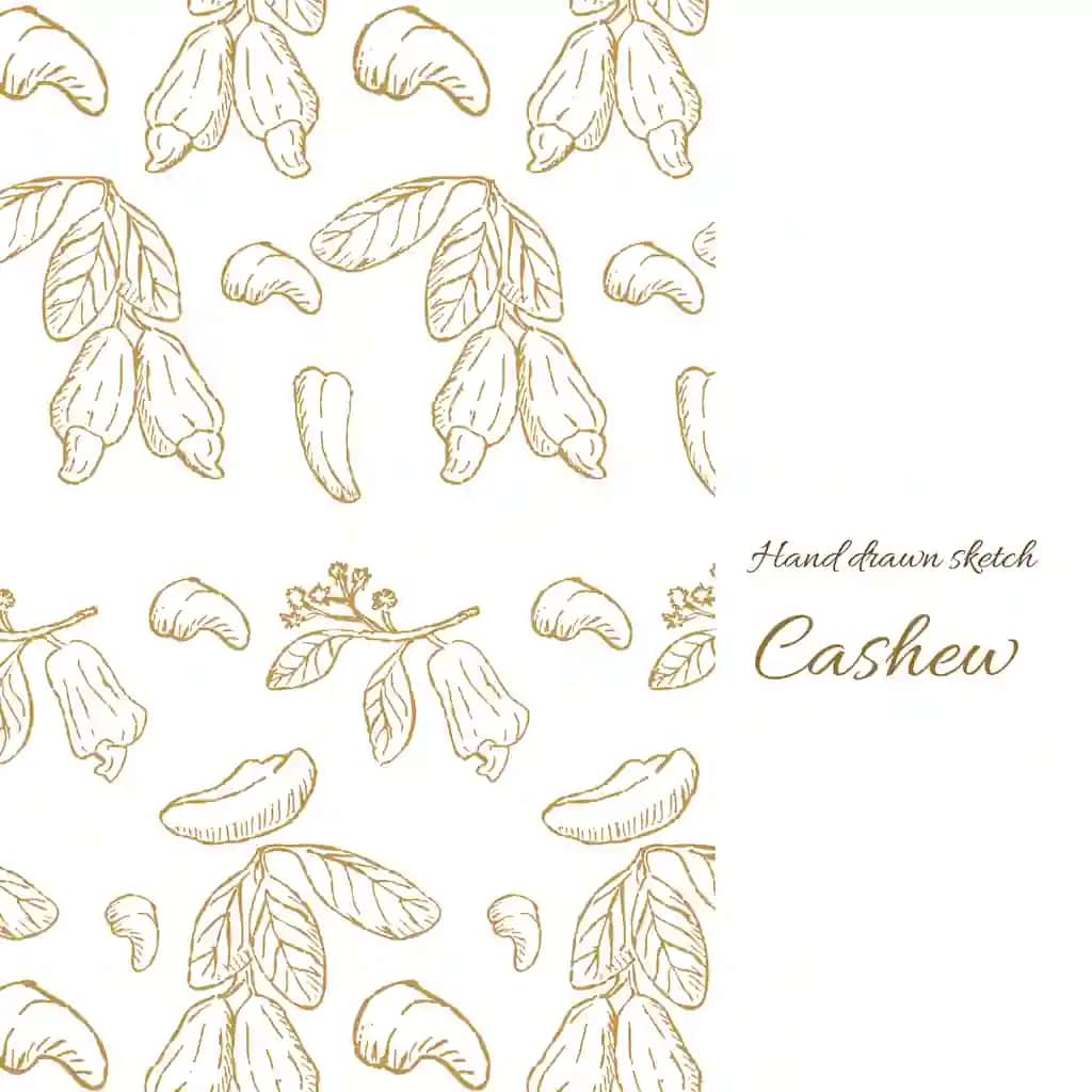 Kaju muqovasi shabloni oziq-ovqat fonida choksiz vektorli illyustratsiya | Cashew cover template food background vector illustration with seamless
