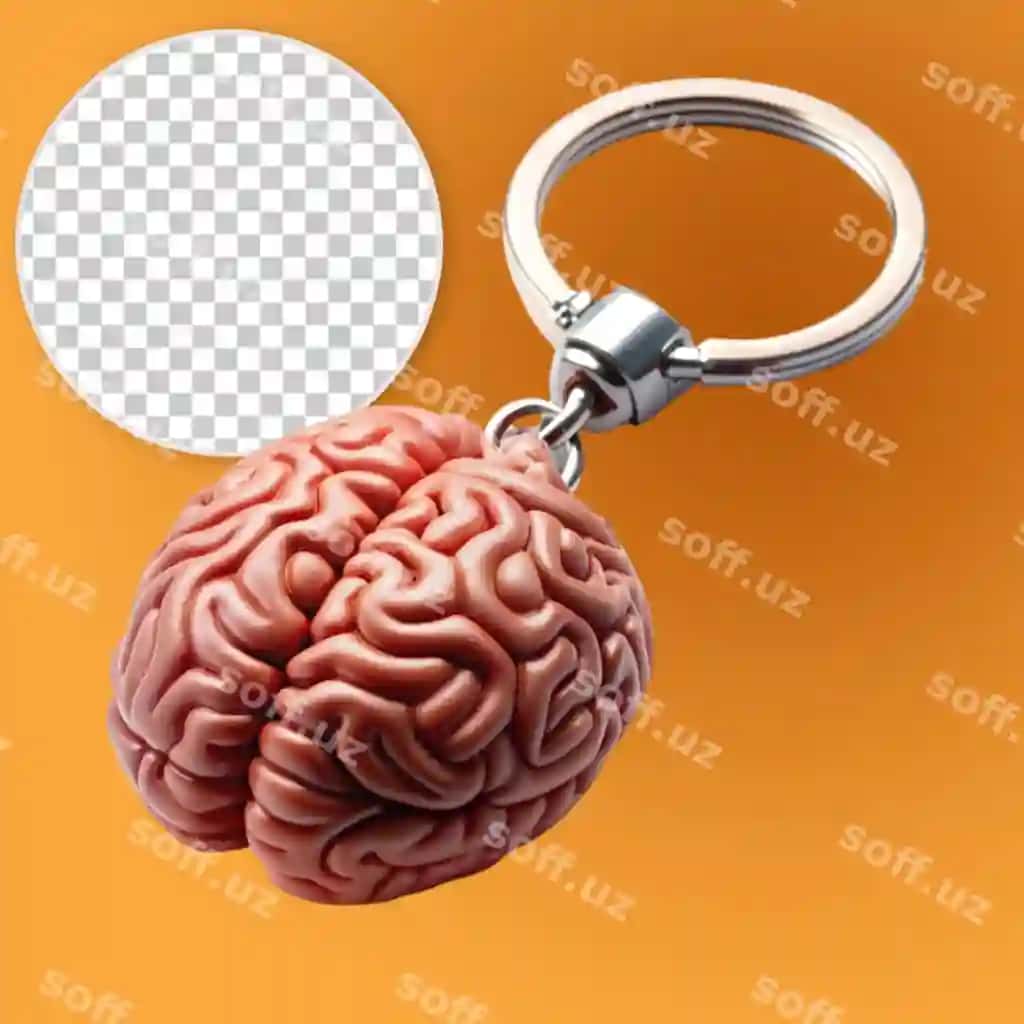 Bosh kalit halqasi | Brain keyring