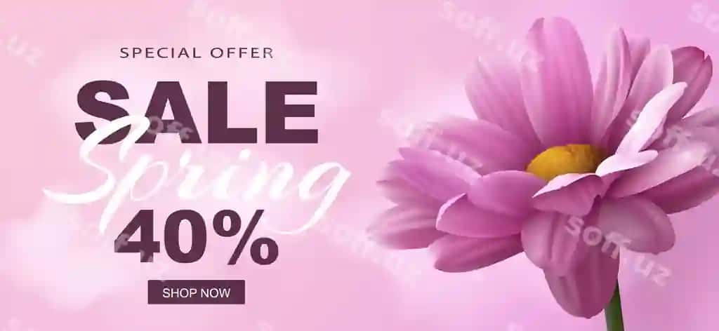 Aktsiya baneri haqiqiy binafsha chrysanthemum gul binafsha fonda | Sale banner with realistic pink chrysanthemum flower pink background