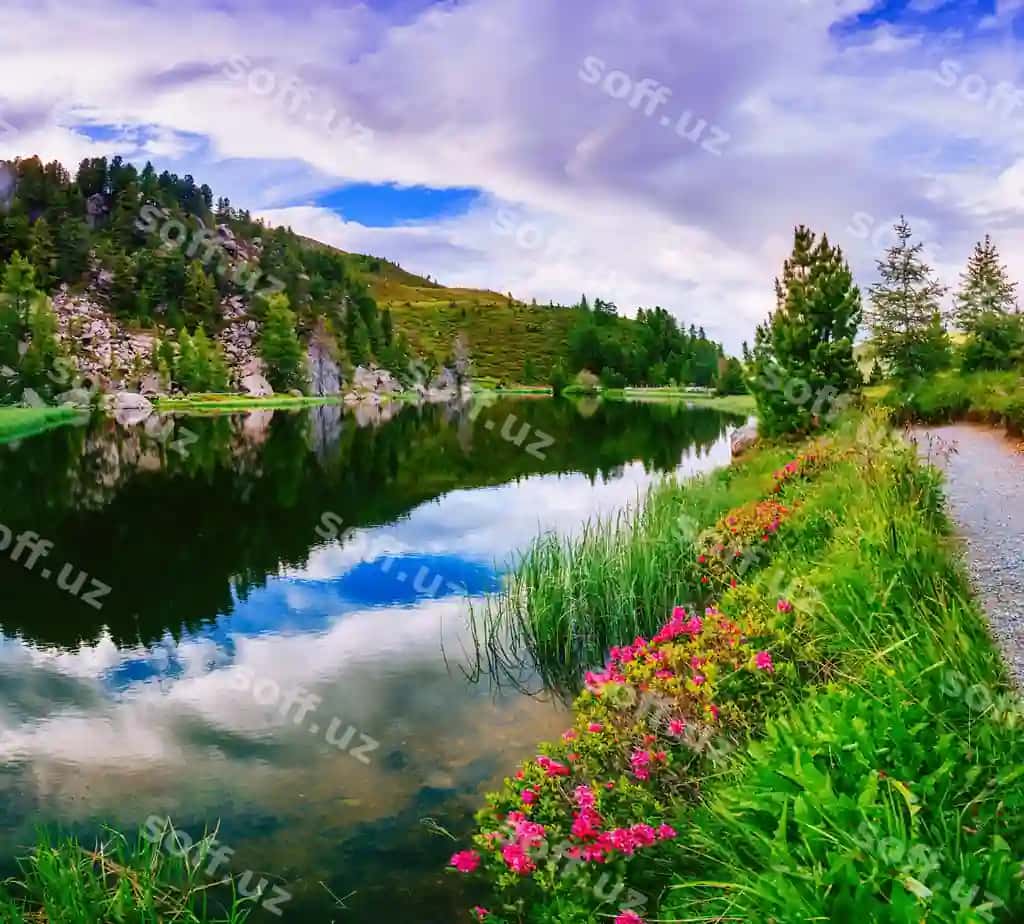 Suv tog'lari yaqinidagi gullar bilan qoplangan maydoncha | Glade with flowers near water mountains