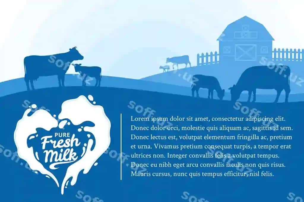 Vektor sut illustratsiyasi | Vector milk illustration