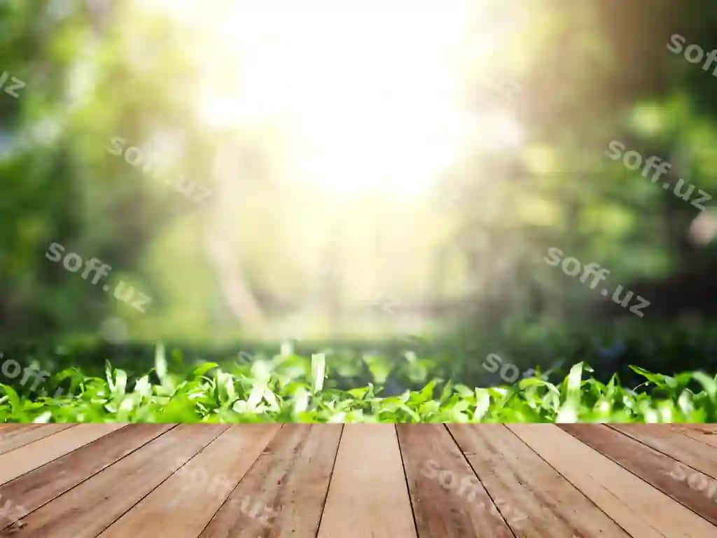 Yog'ochli stol usti yashil chaman yozdagi bog | Wooden table top green grass summer garden