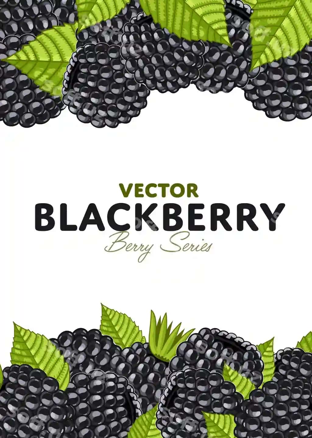 Organik boryongi baner shirin oqa boryongi bilan | Organic berry banner with juicy blackberry