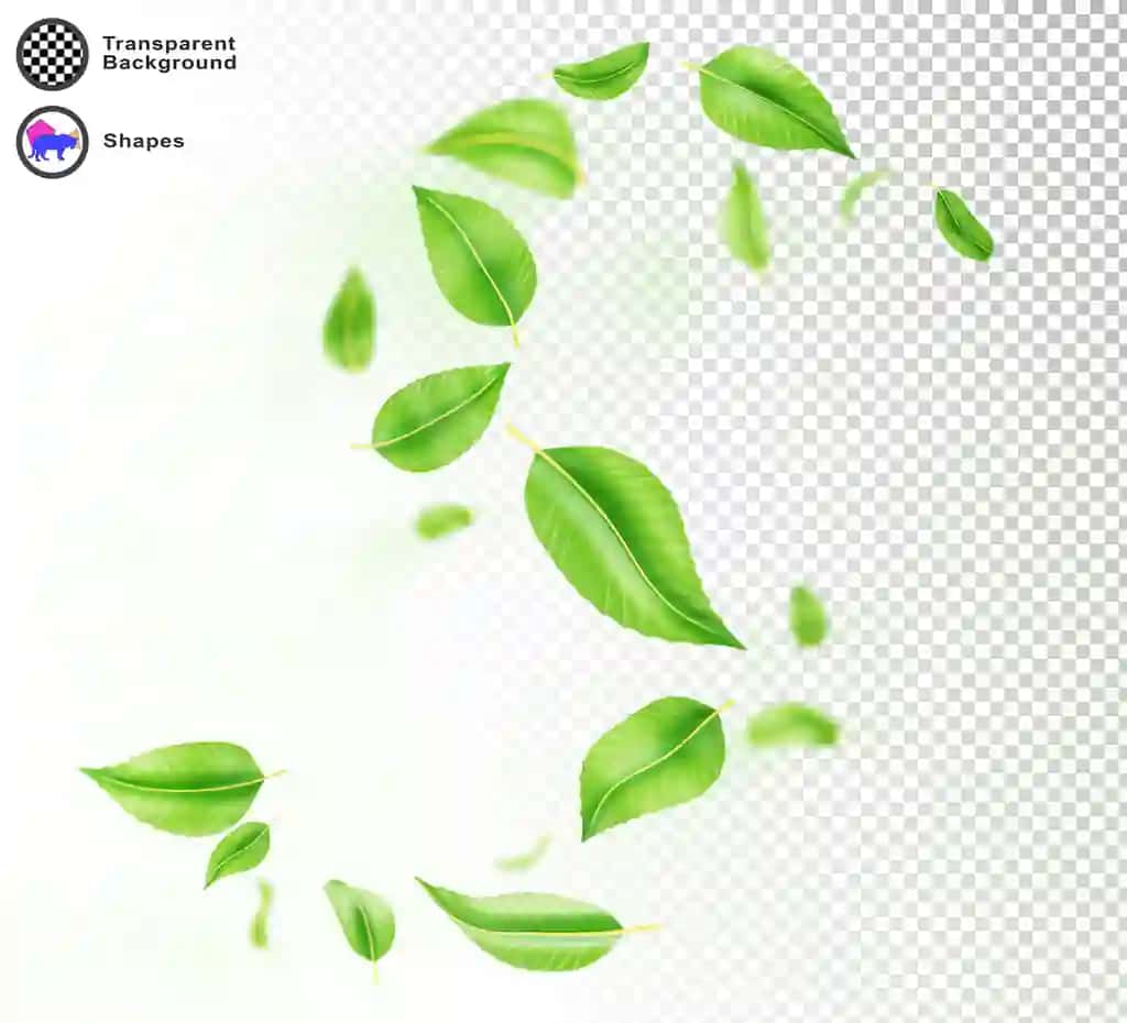 3D mavhum yashil barglar aylanma to'lqin chizig'i spiral shamol effekti izolyatsiya qilingan | 3d abstract green leaves swirl wave line spiral wind effect isolated