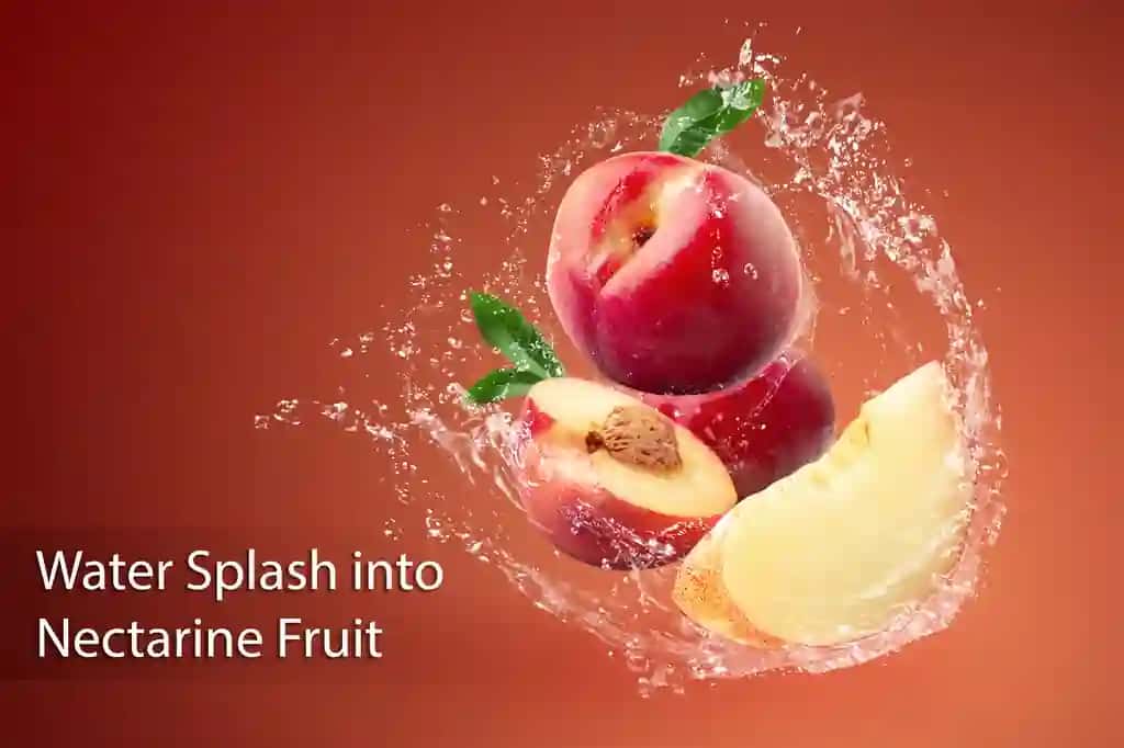 Yangi nektarin mevasi qizil rangda suv sepmoqda | Water splashing fresh nectarine fruit red
