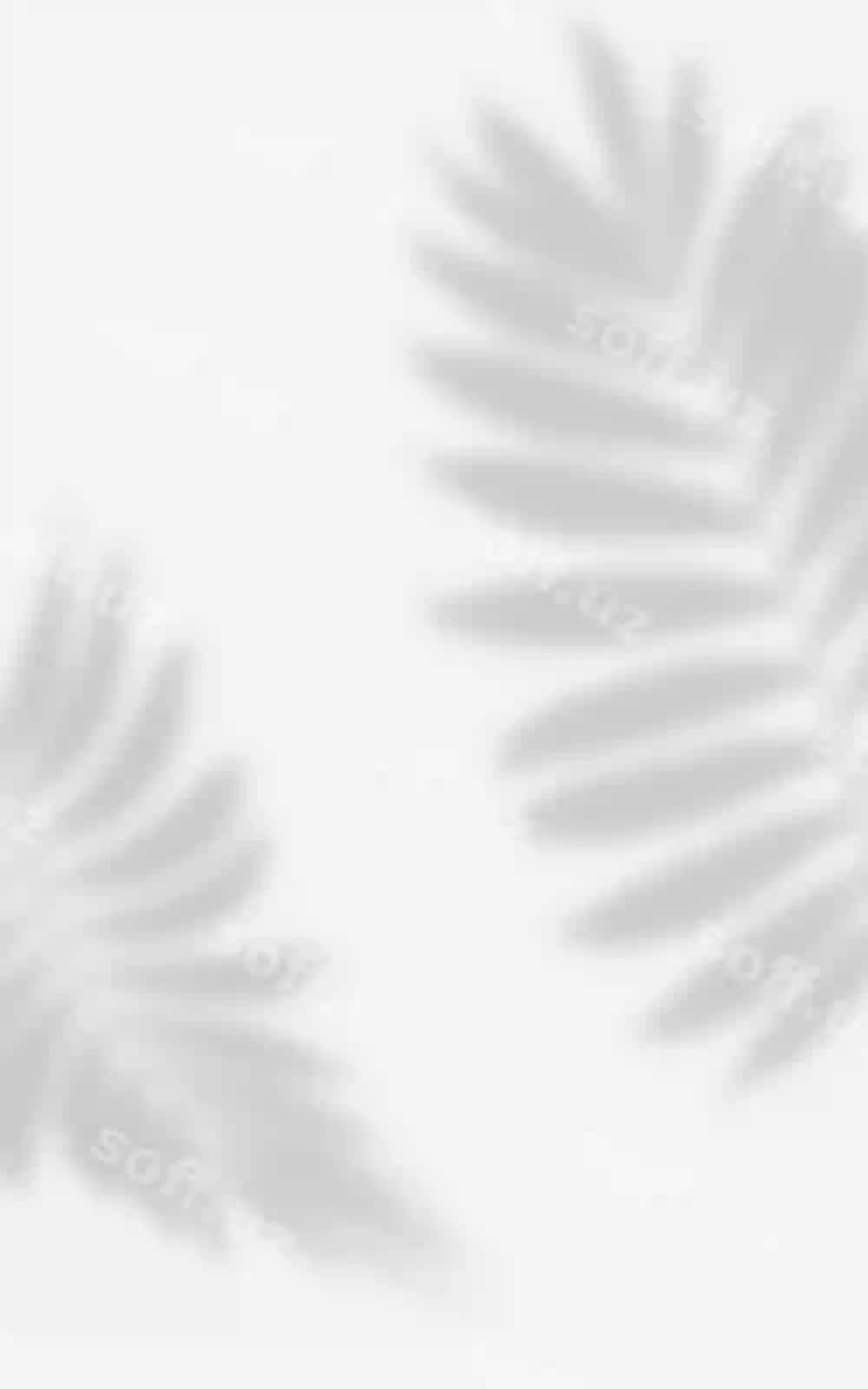 Barglari bo'lgan palma daraxti shoxchasidan soyali mavhum oq rang | Abstract white with shadow from palm tree branch with leaves