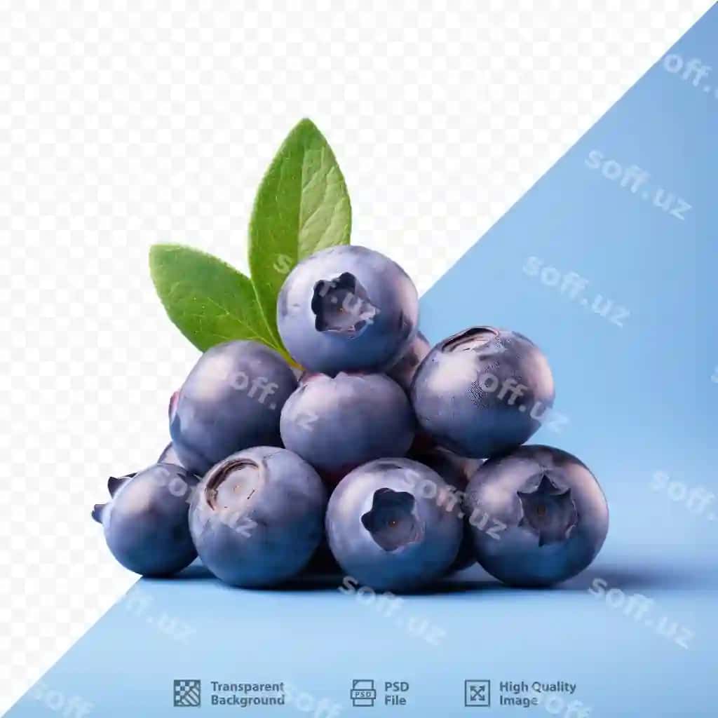 Yashil yaproqli blueberry | Blueberry with green leaf it