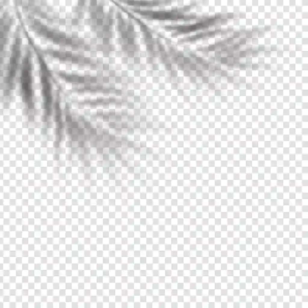 Haqiqiy palma bargi soyasi effekti | Realistic palm leaf shadow overlay effect