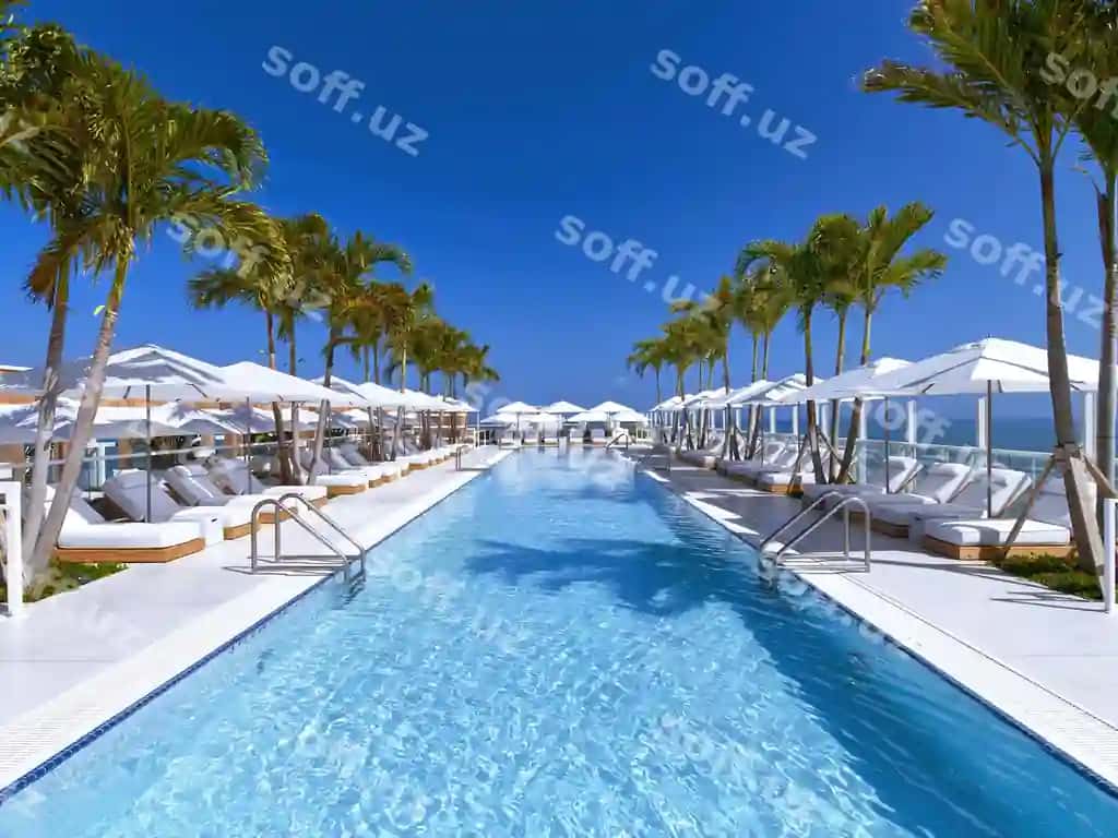 Hovuz ko'plab gilam daraxtlari va ko'k osmon | Pool with lot palm trees blue sky