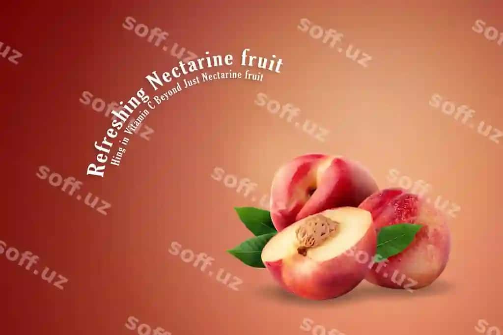 Olg'a yangi nektarin meva ajraltirilgan | Ripe fresh nectarine fruit isolated