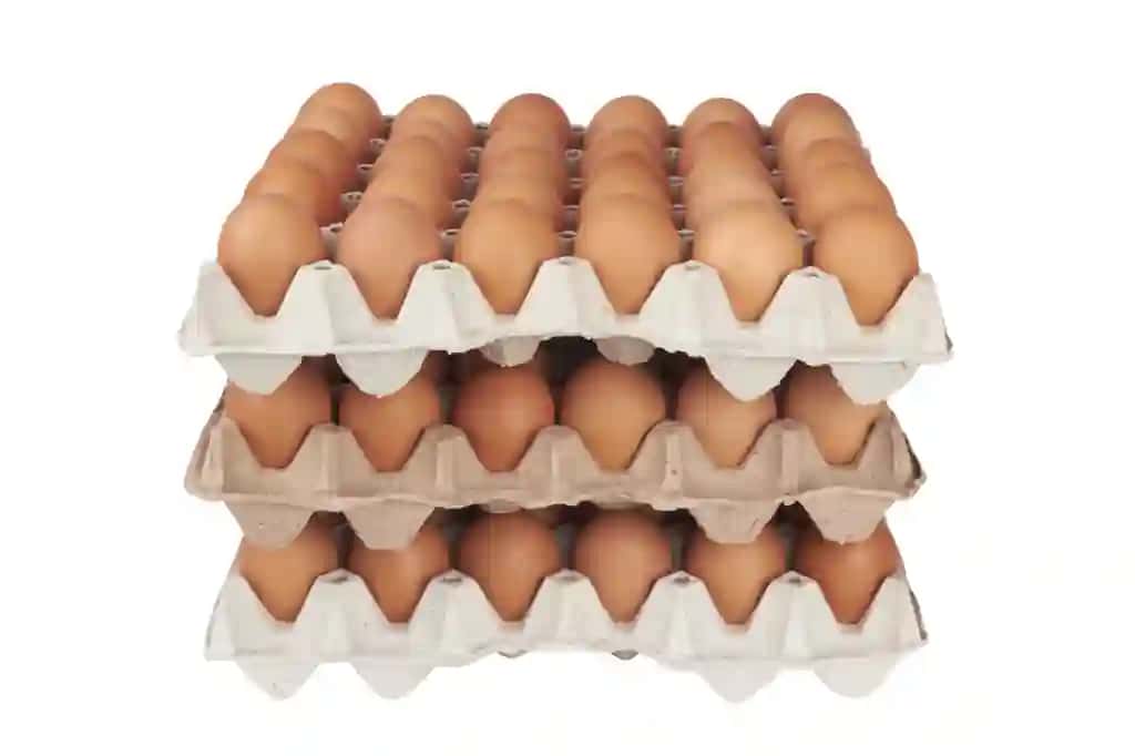 Jigarrang tuxumlarni karton tovoqlar ustiga qo'ying | Stack brown eggs cardboard trays
