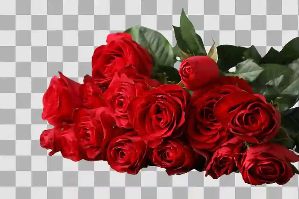 Yotgan guldasta qizil atirgullar izolyatsiya qilingan oq fon png | Lying bouquet red roses isolated white background png