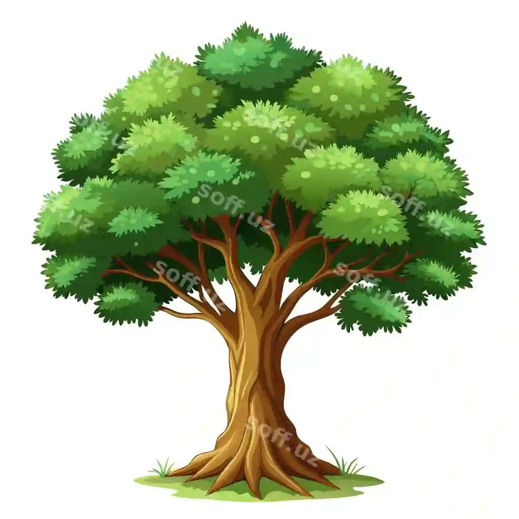 Haqiqiy daraxt vektor illustratsiyasi ajraltirilgan oq ekran | Realistic tree vector illustration isolated white screen