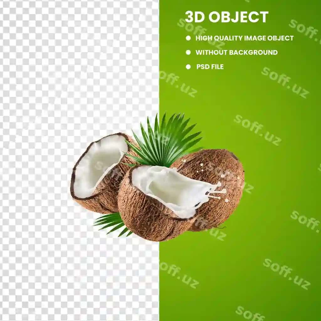 Kokos | Coconut