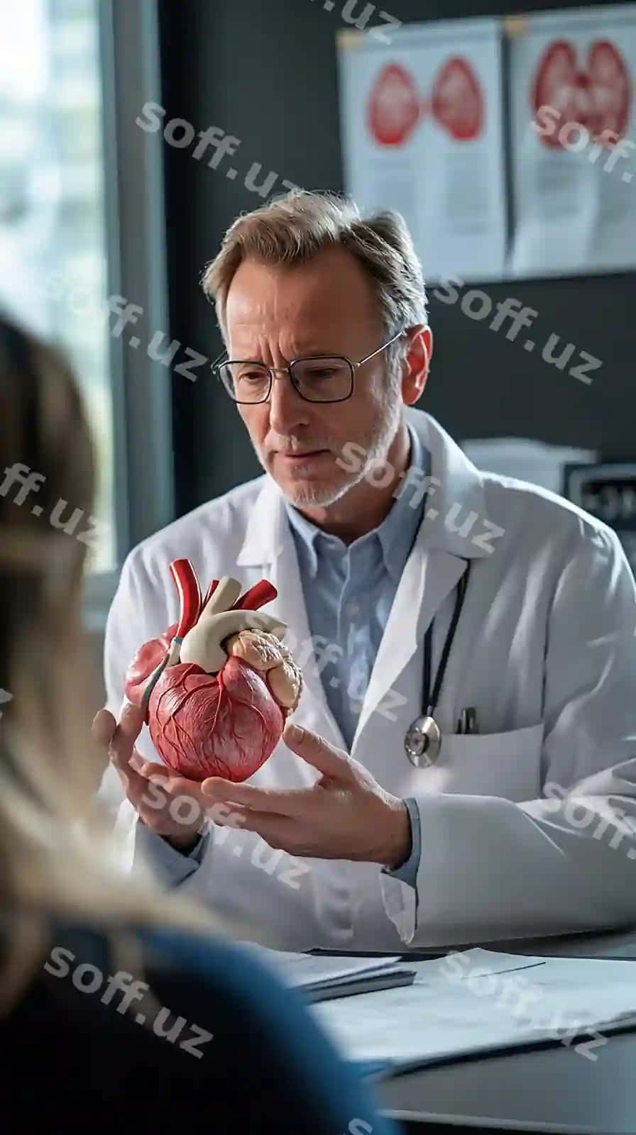 Kardiolog yurak salomatligini anatomik modellar foydalangan holda tushuntirmoqda. | Cardiologist explaining heart health using anatomical models