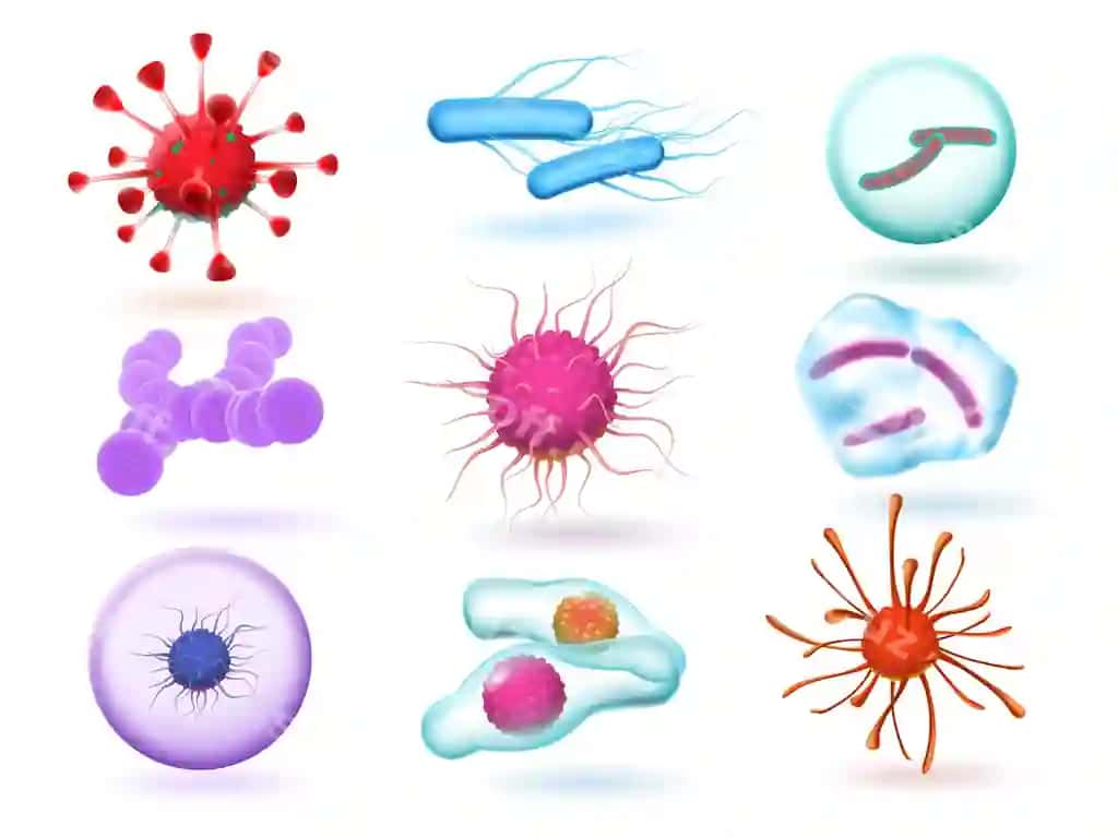 Haqiqiy 3D mikrobiologiya bakteriyalari turli xil viruslar tabiati mikroorganizmlari | Realistic 3d microbiology bacteria various virus nature microorganism
