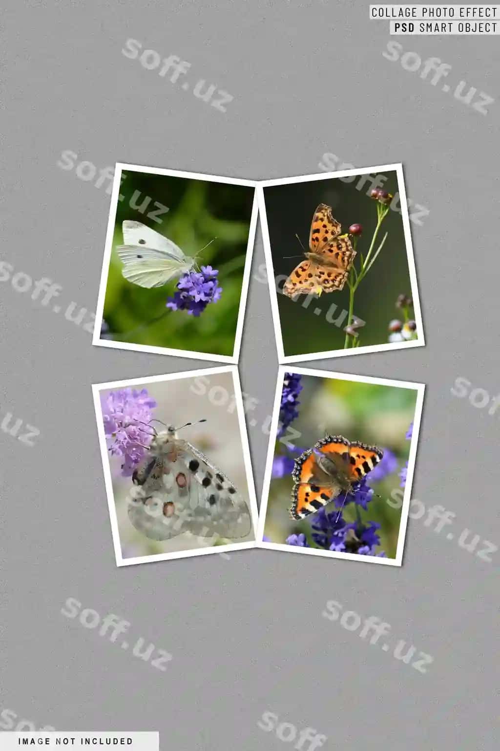 Kollej fotosurat effekti psd aklli obyekt | Collage photo effect psd smart object