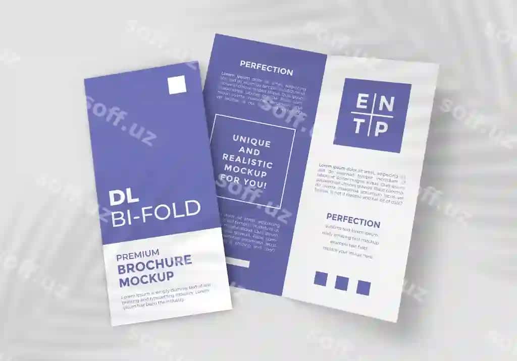 Ikki dl hajmdagi bitta qatlama broshyr namunasi | Two dl size bi fold brochure mockup