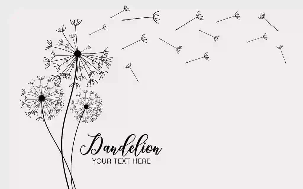 Abstrakt fon karahindiba dizayni shamol urug'larni uchirib yuboradi karahindiba | Abstract background dandelion design wind blows seeds dandelion