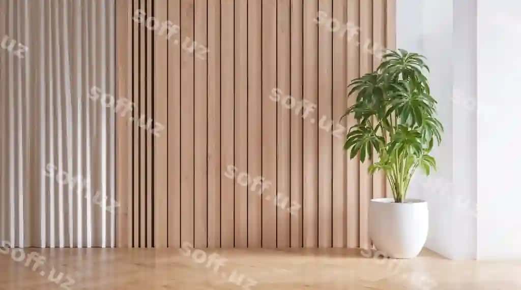 Shefflera arboricola yog'och devor bilan zamonaviy interyer | Modern interior with schefflera arboricola wooden wall