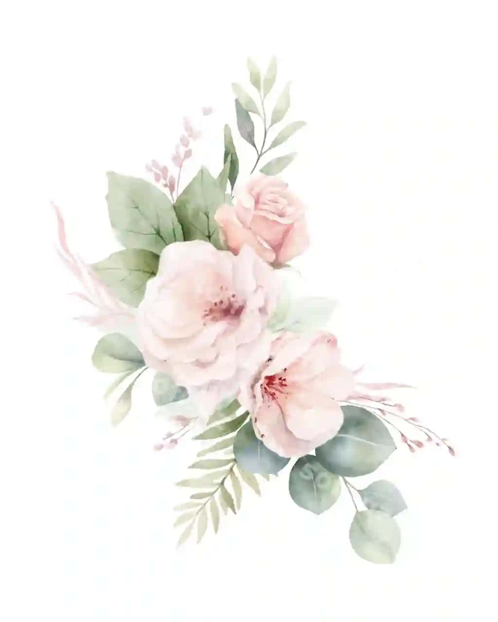 Changli pushti atirgullar evkalipt barglari akvarel vektorli gulli gullar | Dusty pink roses flowers eucalyptus leaves watercolor vector floral