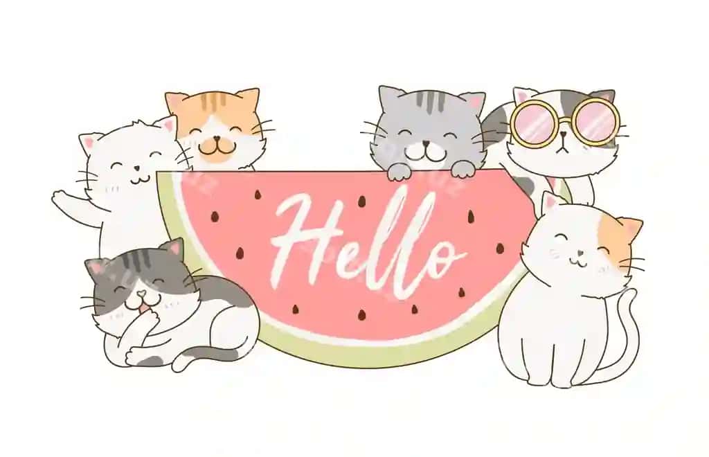 Mazali mashina qovoq chizma qo'lma-qoshimcha sinf jamlanmasi | Cute cats top watermelon doodle hand drawn illustration bundle collection