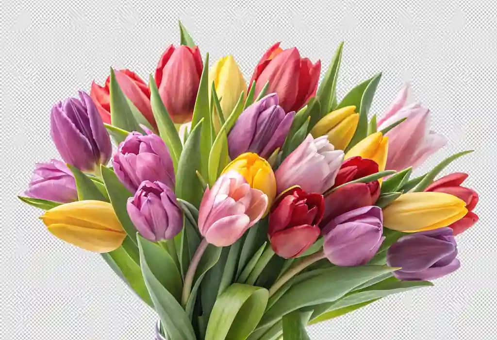 Yorqin guldasta aralash lolalar rang-barang gullar bilan bezatilgan | Vibrant bouquet mixed tulips colorful floral arrangement