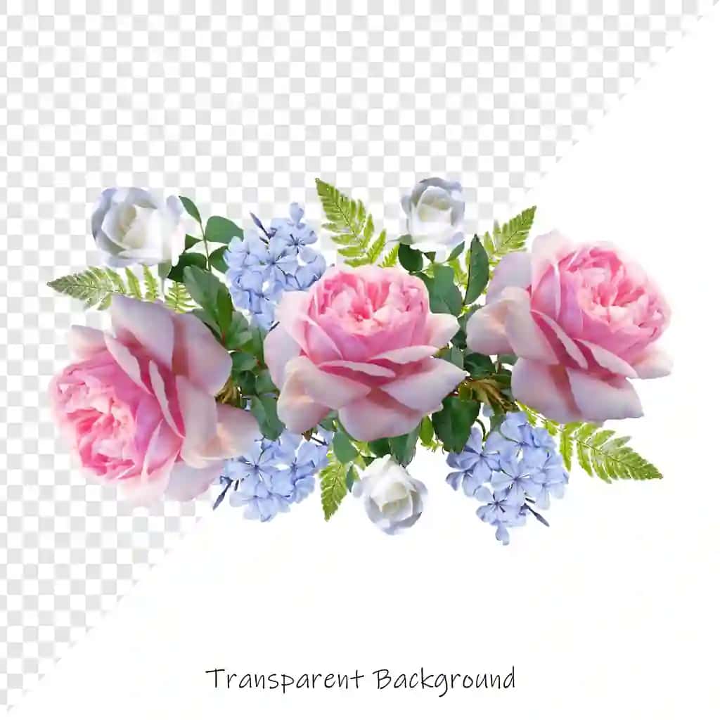 Shaffof fon bilan atirgullar gul | Roses flower with transparent background