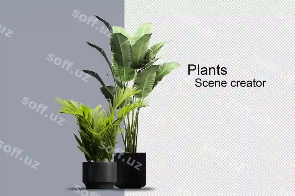 Keng turli daraxtlar va chuqurlar namoyishi | Wide variety trees shrubs rendering