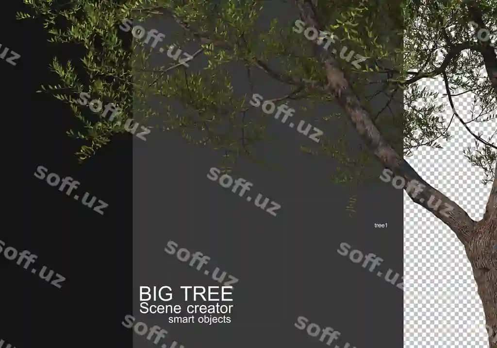 Katta daraxt oldingi fonda renderingini ko'rsatish | Display large tree foreground rendering
