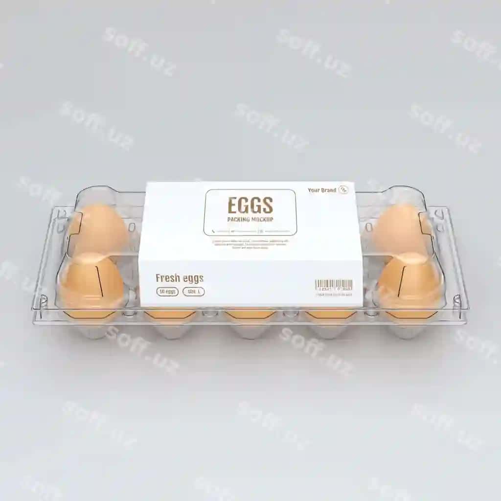 Tuxmatlar modeli | Eggs mock up