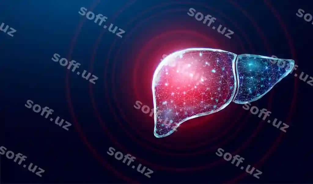 Inson jigaridagi og'riq simli ramka past poli uslubidagi kontseptsiya tibbiy farmakologiya | Human liver pain wireframe low poly style concept medical pharmacology