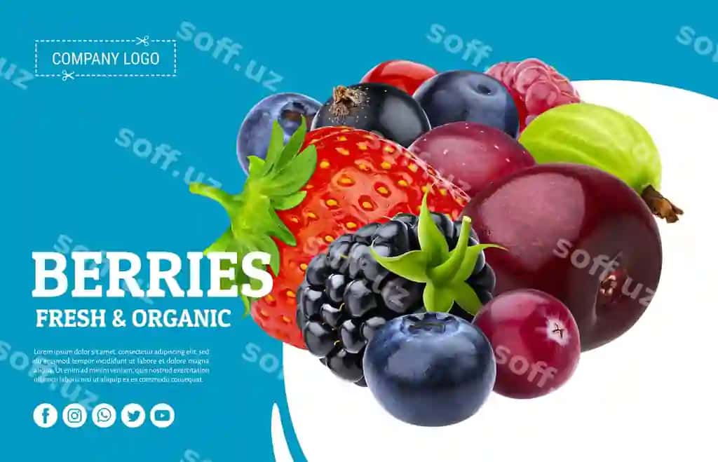 Barya ajraltirilgan kesish yo'li yuqori ko'rinish | Berry isolated with clipping path top view