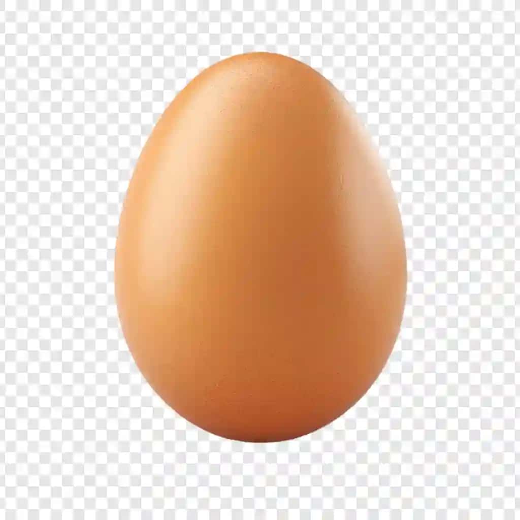Yagona jigarrang tovuq tuxumi izolyatsiya qilingan shaffof fon | Single brown chicken egg isolated transparent background
