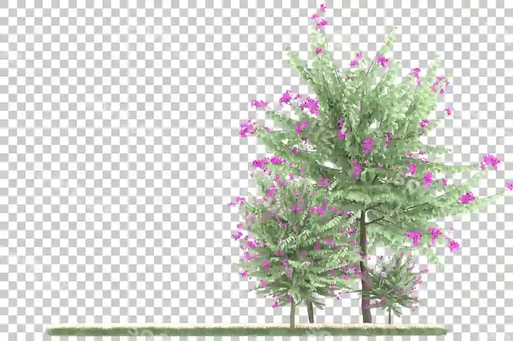 Oʻrmon shaffof fonda 3D render illustratsiyasi | Forest transparent background 3d rendering illustration