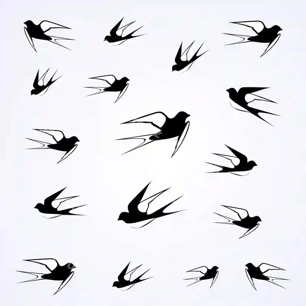 Qora qushlar osmonda uchishadi | Swallows fly sky