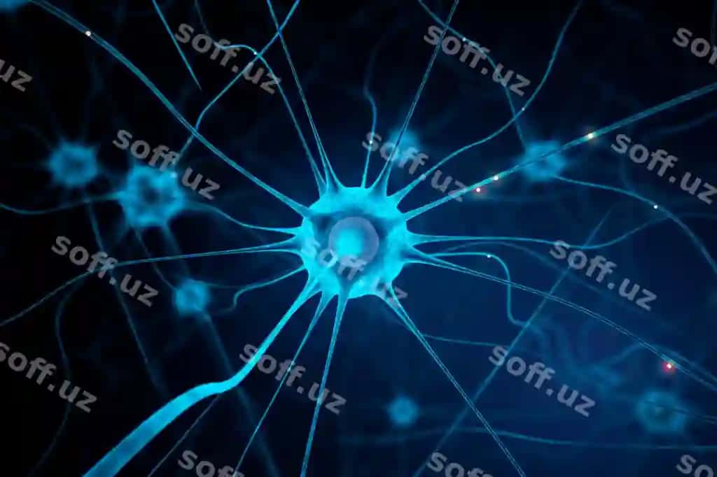 Ko'k neuron | Blue nerve cell