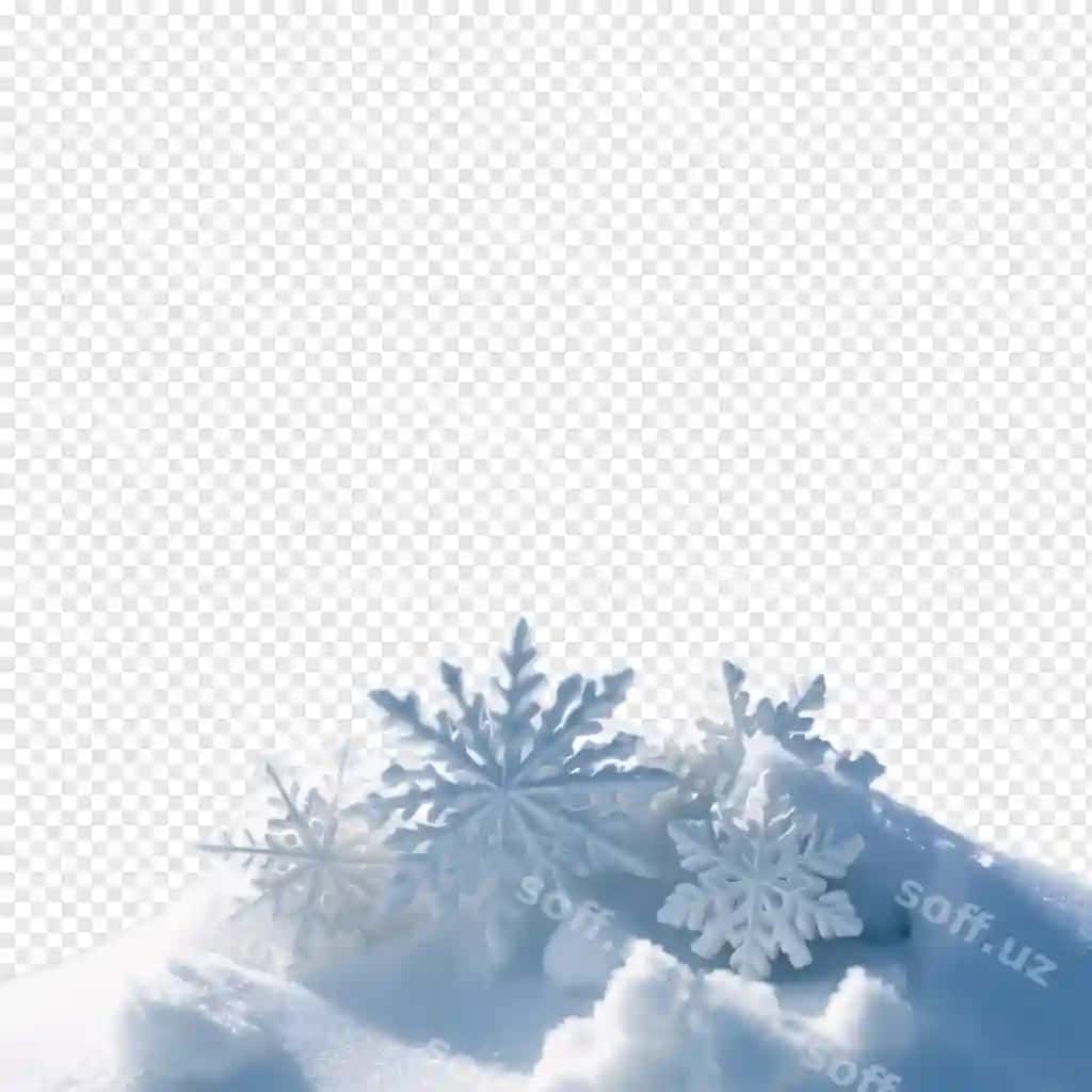 Qor bobolari qish mavsimi kabi mukammal. | Snow snowdrifts perfect as winter season