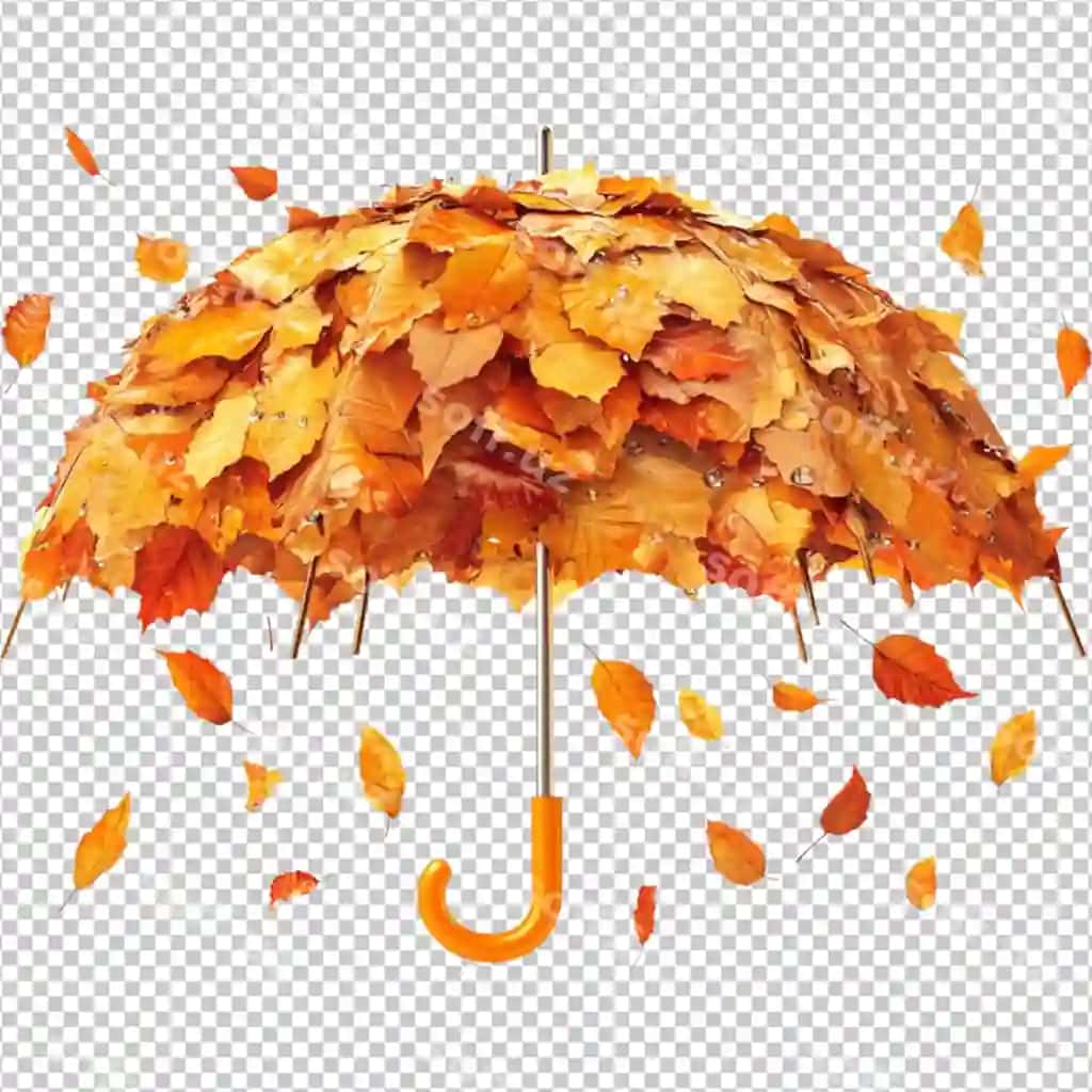 Milliy soyabon oyi | National umbrella month