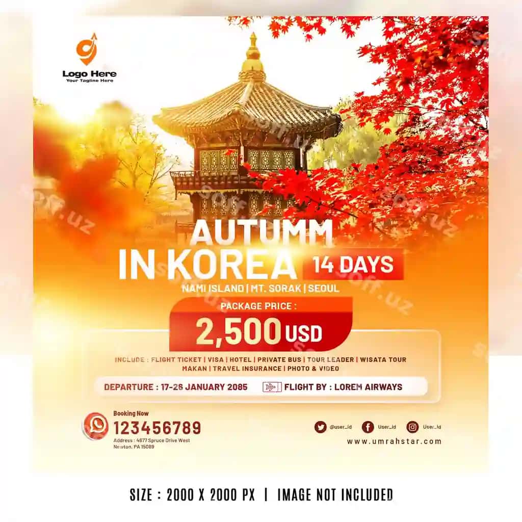 Kuz Koreya tur paketi | Autumn korea tour package