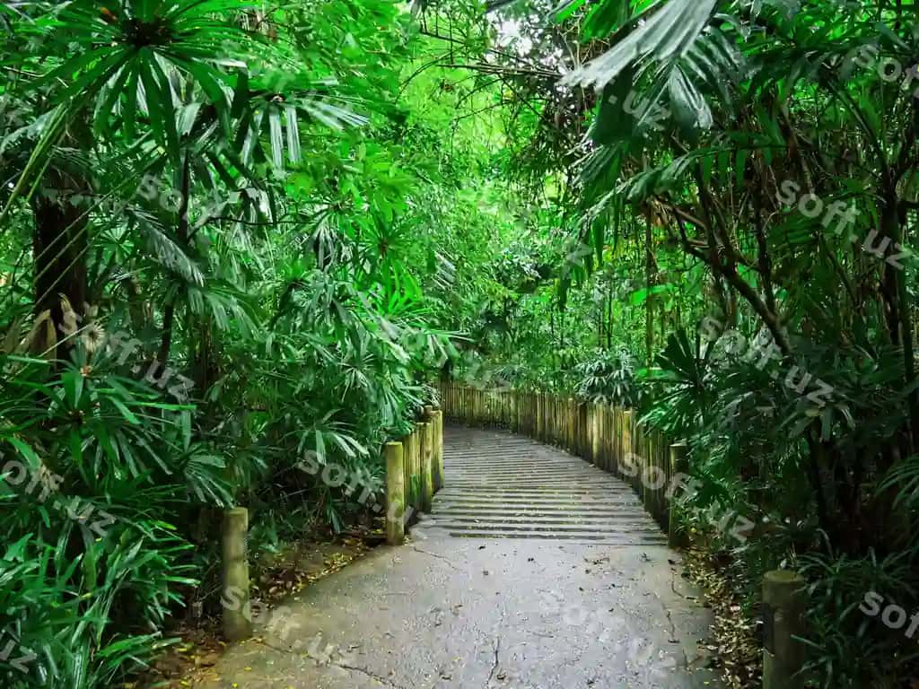 Yo'l zo'osi Singapur | Road zoo singapore