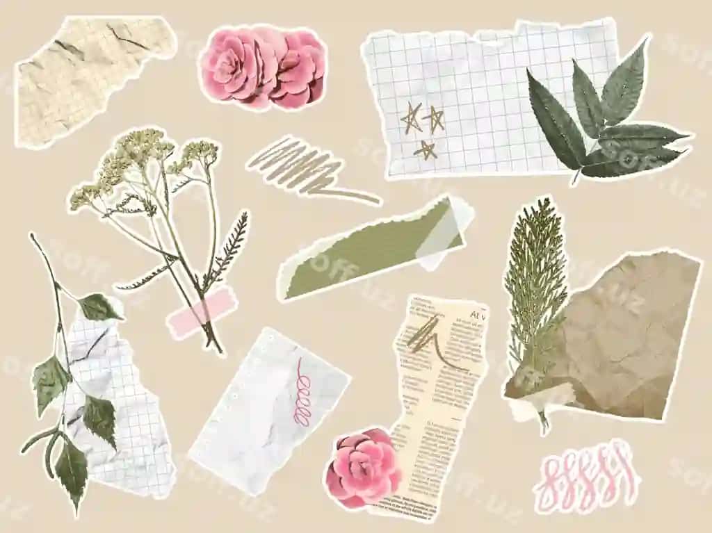 Qog'oz kesilgan elementlar botanik kollej xotira kitobi bilan garballangan qog'oz shimlari | Paper cut elements botanical collage with scrapbook torn paper pieces