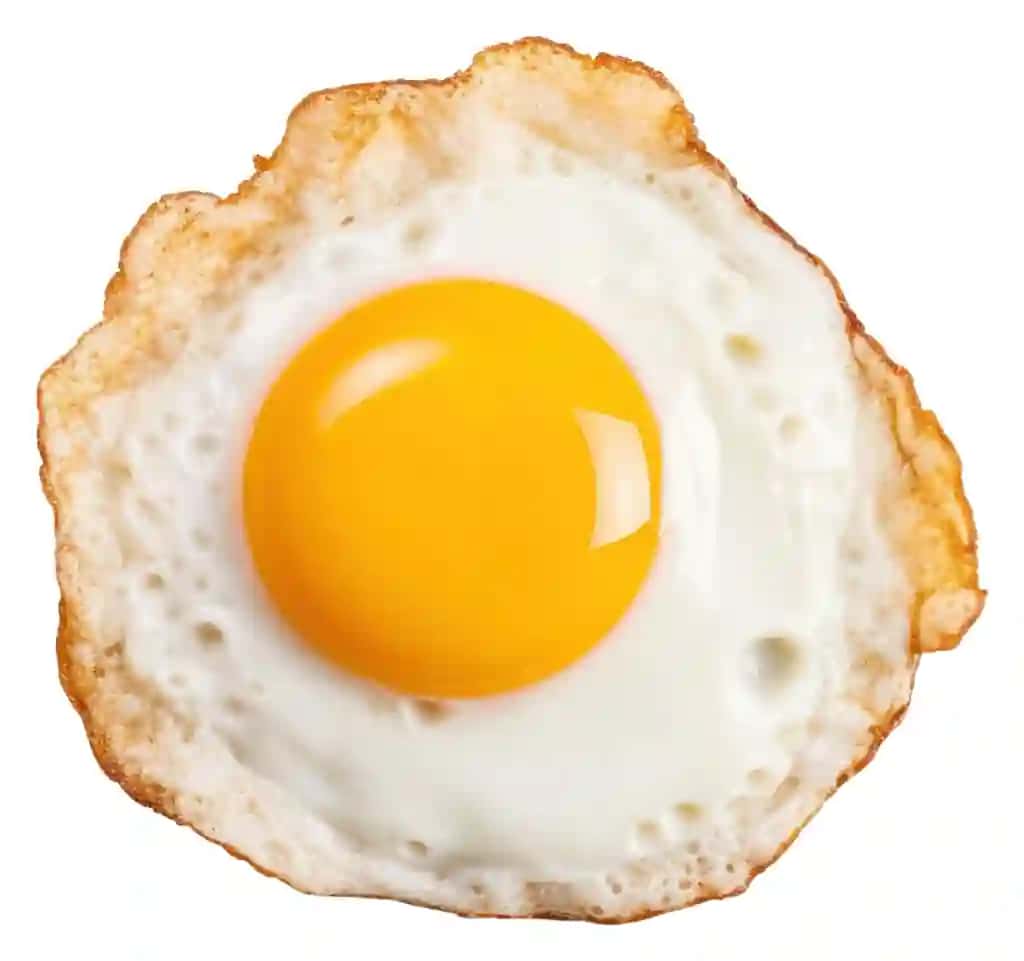 Png qovurilgan tuxum ovqat oq fon nonushta | Png fried egg food white background breakfast