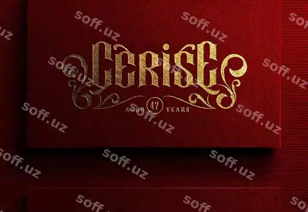 Boshqat logotip namunasi qora qizil biznes karta | Luxury logo mockup dark red business card
